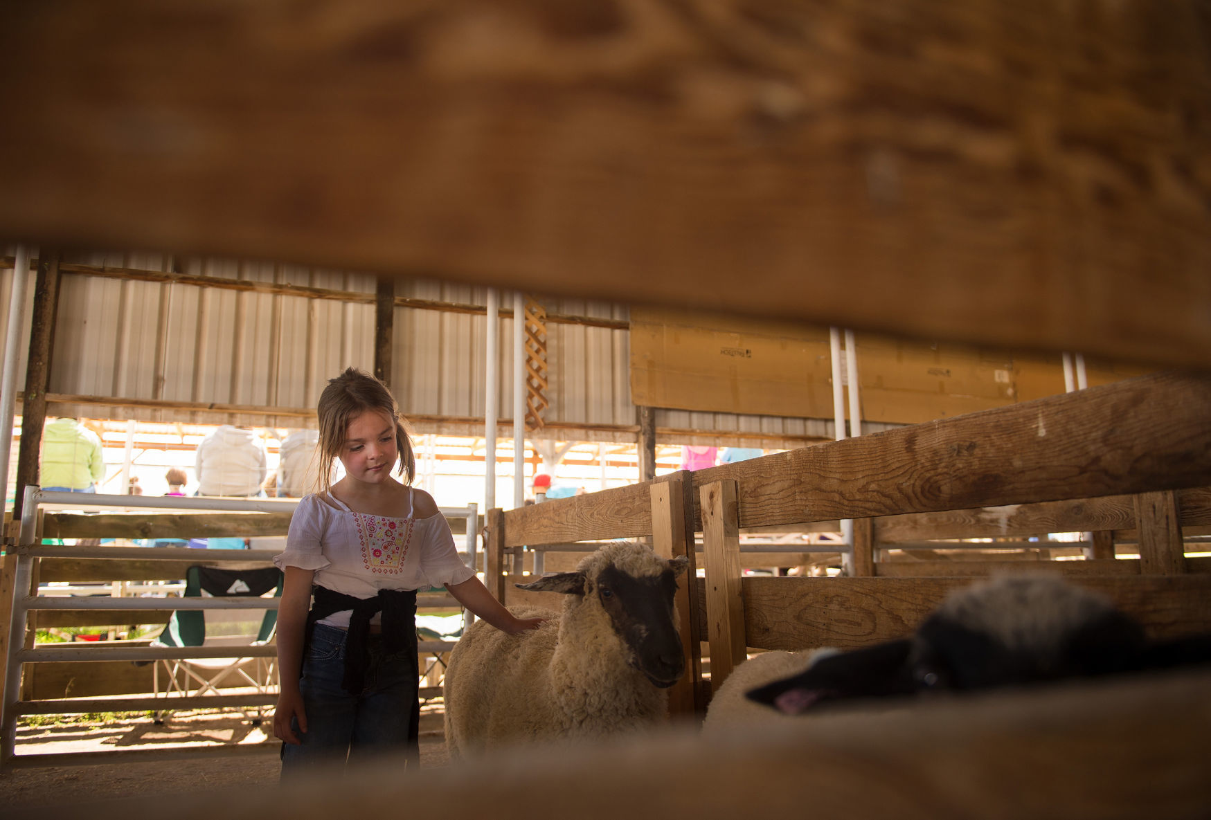 Magic Valley Lamb Clinic and Show